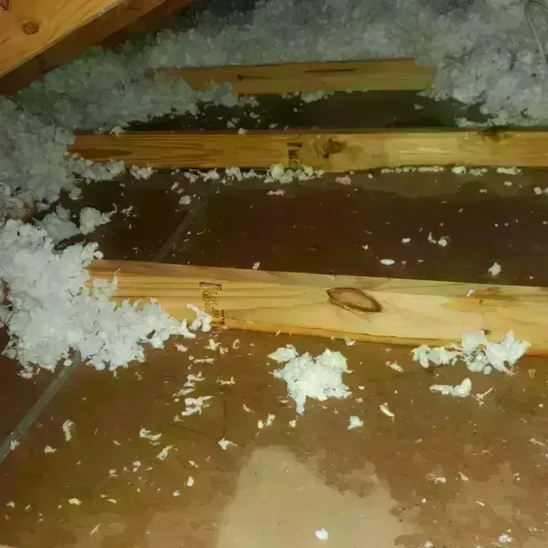 Attic Water Damage in Franklin County, IL